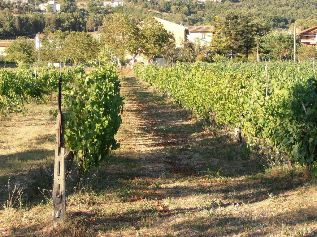 Agriturismo Ponte Di Riocchio Gubbio Eksteriør billede